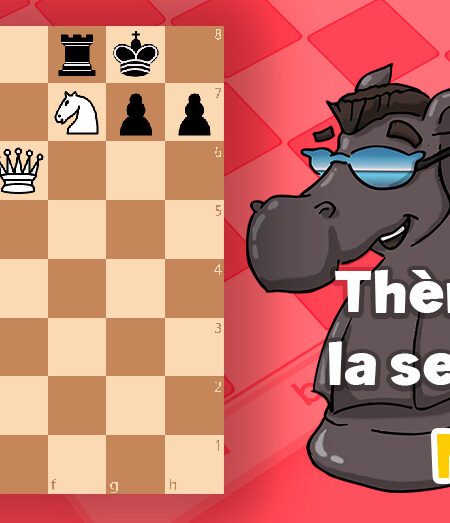 Theme echecs double s10 - club d'échecs en ligne pour enfants Echekids
