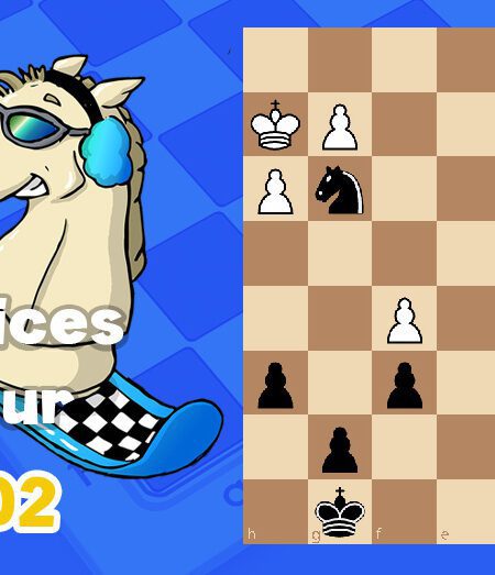 Exercices echecs j102 - club d'échecs en ligne pour enfants Echekids