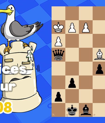 Exercices echecs j108 - club d'échecs en ligne pour enfants Echekids