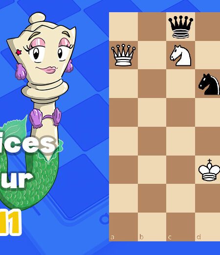 Exercices echecs j111 - club d'échecs en ligne pour enfants Echekids