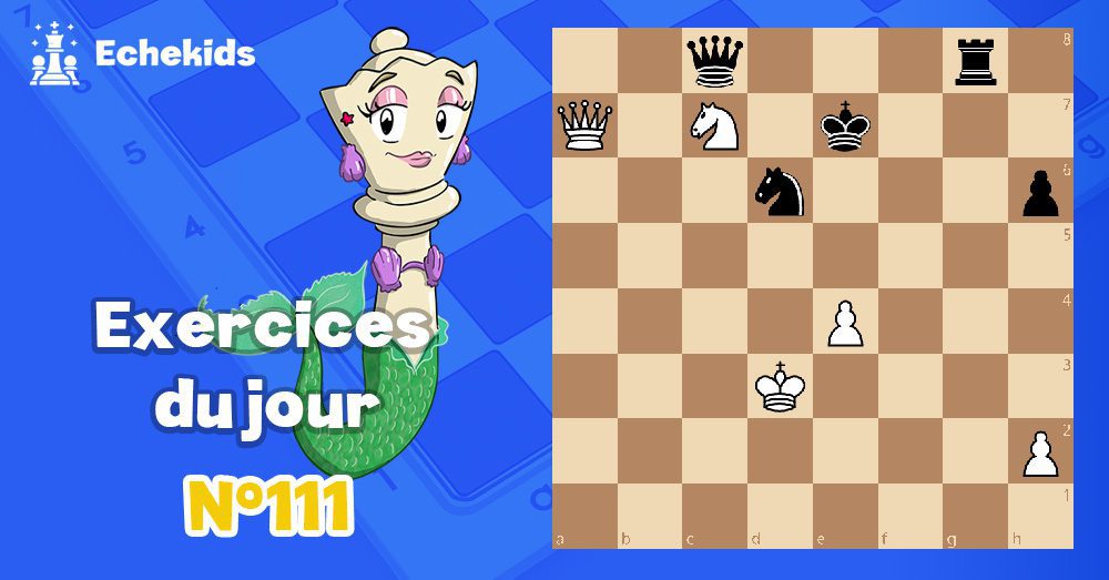 Exercices echecs j111 - club d'échecs en ligne pour enfants Echekids