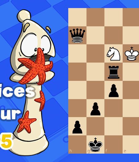 Exercices echecs j95 - club d'échecs en ligne pour enfants Echekids